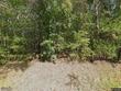 627 enon rd, oxford,  NC 27565