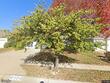 4304 ne 73rd st, kansas city,  MO 64119