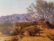 46631 desert moon rd, salome,  AZ 85348