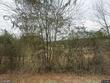 2133 county road 30, ozark,  AL 36360