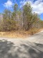 lot 461 deer path, spencer,  TN 38585