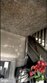 819 cator ave, baltimore,  MD 21218