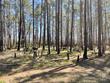 0 backfield road, walterboro,  SC 29488