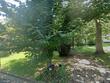 724 druid ln, martinsville,  VA 24112