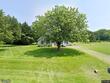  cordova,  MD 21625