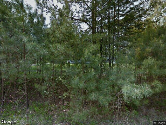 110 g long dr, garner,  NC 27529