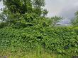  marathon,  NY 13803