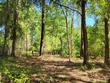 0w0 se 150th st, starke,  FL 32091