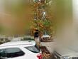 105 n ellwood ave, baltimore,  MD 21224