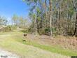 532 finlay ln, cottageville,  SC 29435