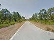 sea turtle dr, port saint joe,  FL 32456