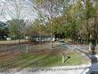  bronson,  FL 32621