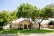 117 cardinal ln, laredo,  TX 78045