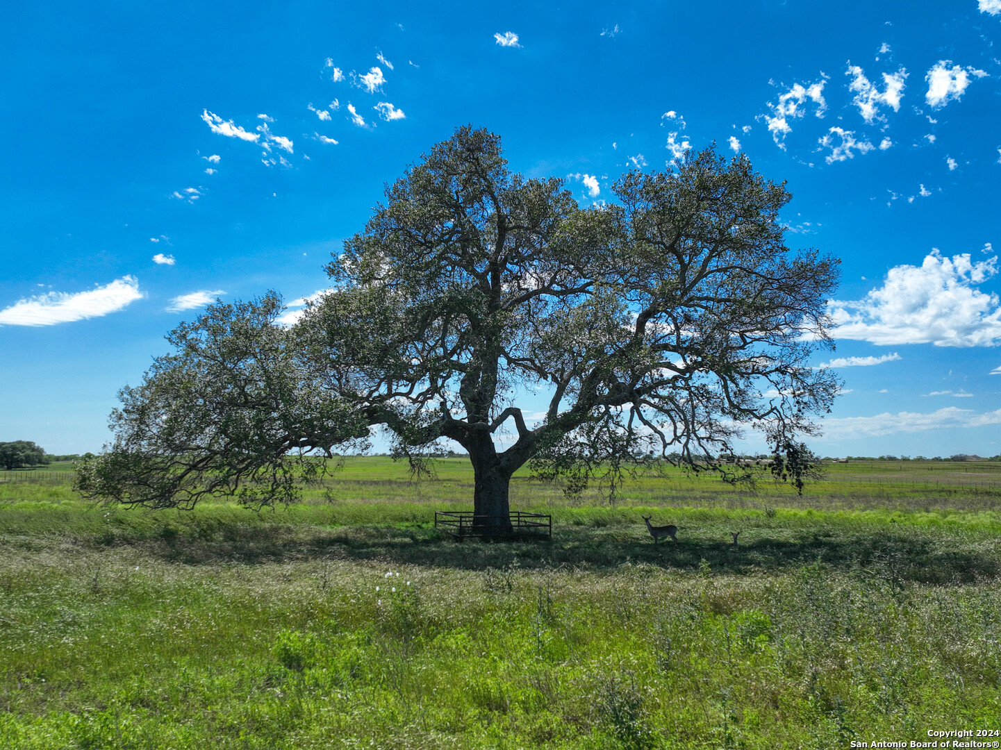 977 cr 305, floresville,  TX 78114