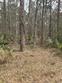 0 prices bridge lane, walterboro,  SC 29488