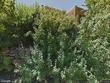 1710 canyon rd, santa fe,  NM 87501