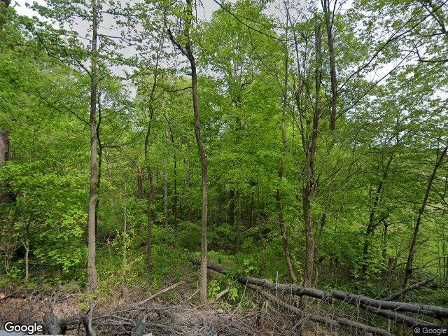 5615 state route 176, drakesboro,  KY 42337