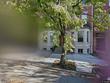  baltimore,  MD 21217