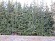 spruce hollow trace, fife lake,  MI 49633