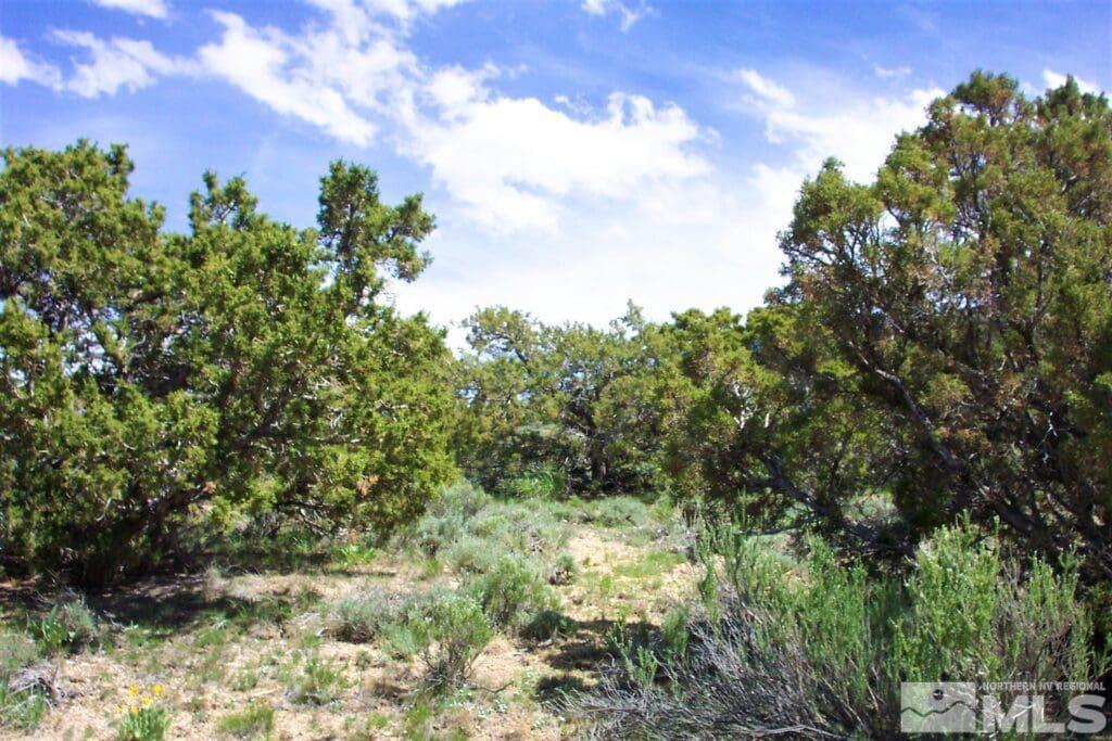 01078d027 near roaring fork rd, wells,  NV 89835