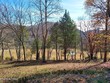 2529 dry valley rd, thorn hill,  TN 37881