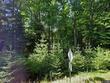 2554 dorway dr, saint germain,  WI 54558