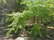 2615 ailsa ave, baltimore,  MD 21214