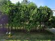 235 bolt rd, schenectady,  NY 12302