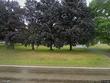 16245 state road 17, culver,  IN 46511
