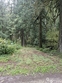 0 cascade park d1-68 place #68, marblemount,  WA 98267