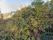 20 blythewood rd, baltimore,  MD 21210