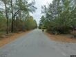 565 hidden lake retreat, walterboro,  SC 29488