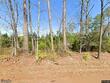 1647 smoak rd, walterboro,  SC 29488