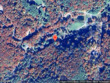 forest ridge, fleetwood,  NC 28626