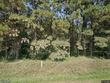 3818 105th st, dunlap,  IA 51529