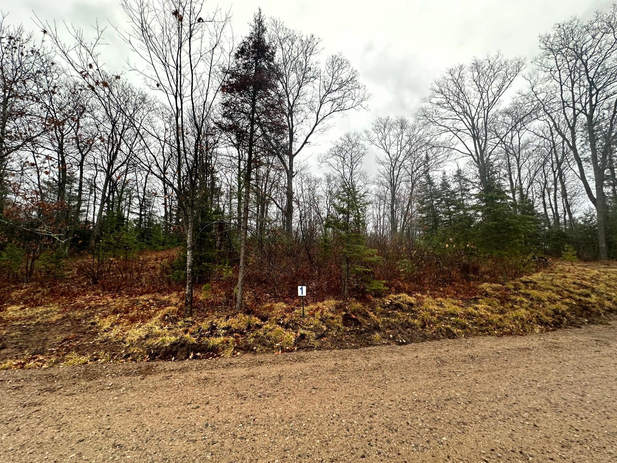 lot 1 cth b, land o lakes,  WI 54540