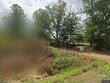 1095 turtle neck rd, carthage,  MS 39051