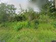 6387 ny-41, homer,  NY 13077