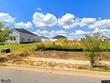 102 elliott dr, midland city,  AL 36350