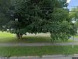 124 pendleton st, cortland,  NY 13045