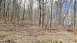 8.43 acres spruce, willow & maple # 140-164, spring city,  TN 37381
