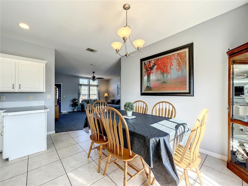13718 county road 109d-3, lady lake,  FL 32159