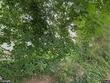 2810 suffolk ave, baltimore,  MD 21215
