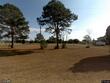 53 hannahan ln, green pond,  SC 29446