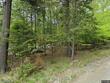 3 forest depths road, greenville,  ME 04441