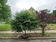 5401 virginia ave, kansas city,  MO 64110
