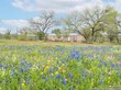 847 wildflower dr, lytle,  TX 78052