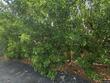2929 se ocean blvd #un
                                ,Unit UN, stuart,  FL 34996