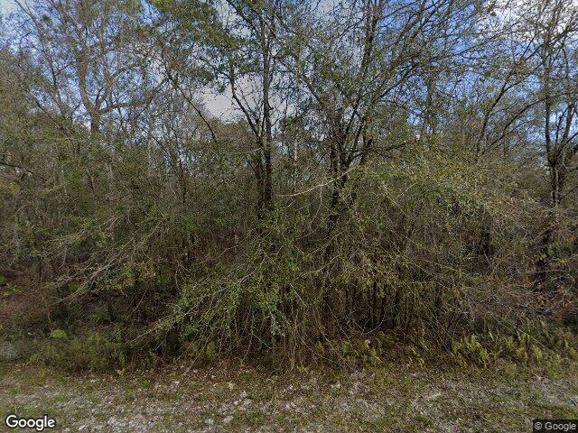 7438 cockleberry drive, ridge manor,  FL 33597