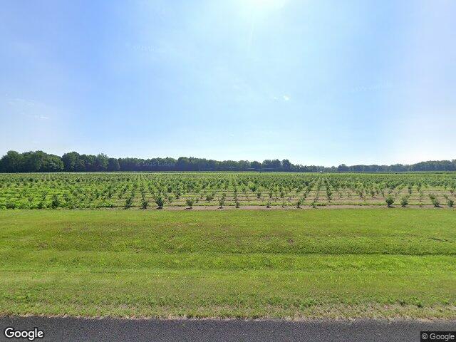 17555 67th st, south haven,  MI 49090